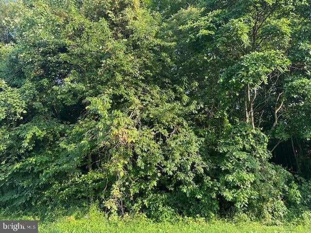 0 Mccormick Swamp Rd, Princess Anne