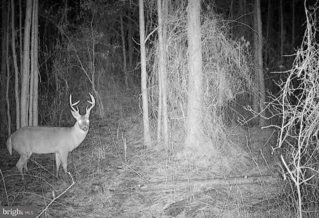 0 Boone Rd #parcel 1370, Crisfield