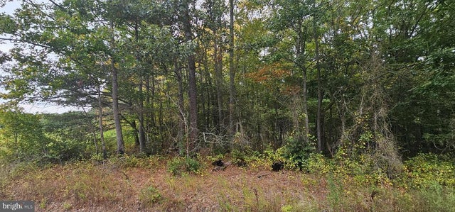 0 Mt Vernon Rd, Princess Anne