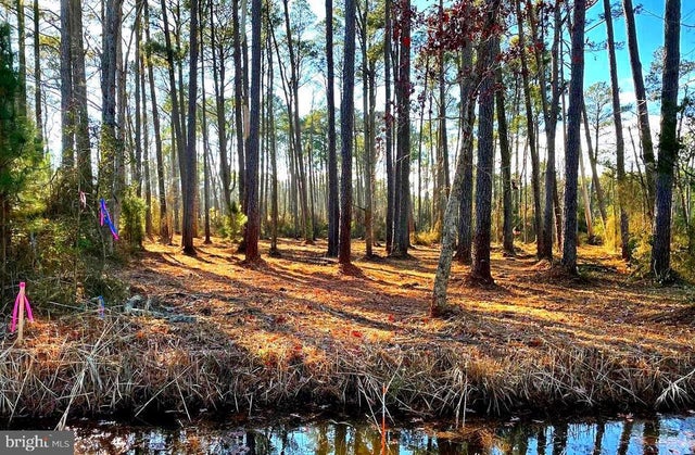 Lot 5 Nevette Muir Rd, Westover