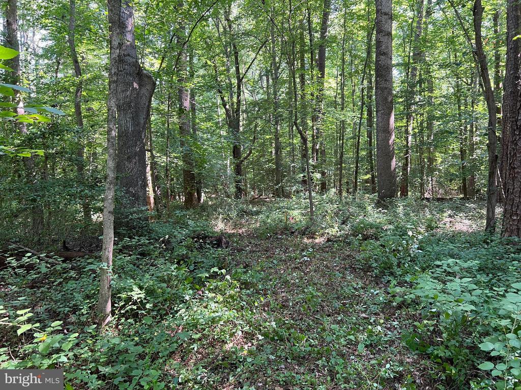 29579 Ella Brooks Lane, EASTON MD EASTON Lots/Land Homes For Sale