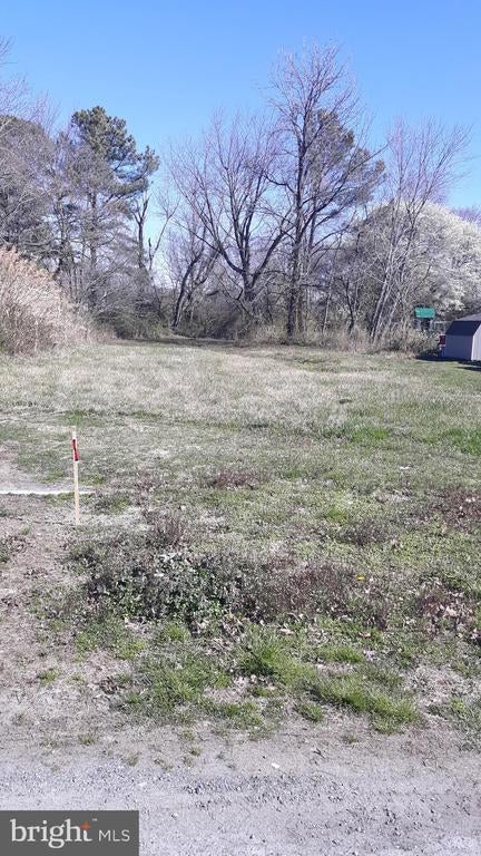 Sinclair Ave, Tilghman