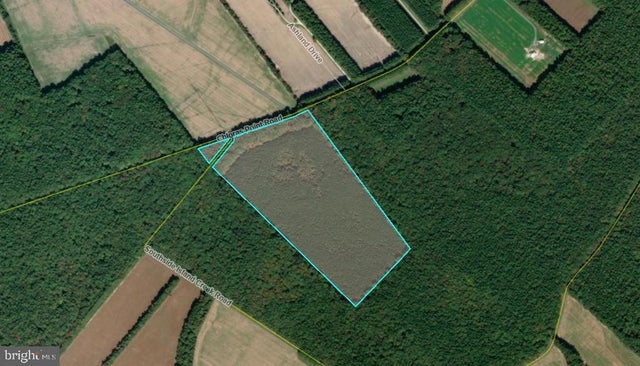 -m57 P21 Southside Island Creek Rd, Trappe