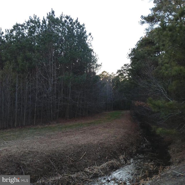 0 Upper Ferry Rd, Eden