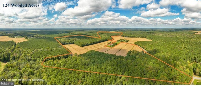 0 Bob Smith Rd, Parsonsburg