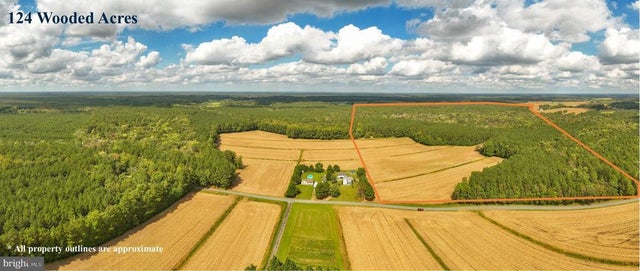 0 Bob Smith Rd, Parsonsburg