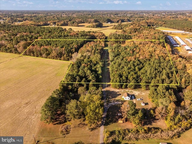 27336 Walnut Tree Rd, Salisbury