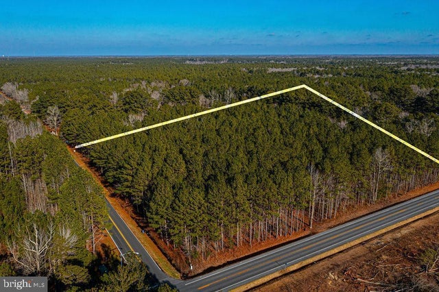 0 Mt Hermon Rd, Parsonsburg