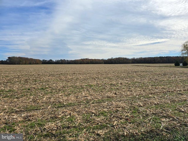 0 Richardson Rd, Willards