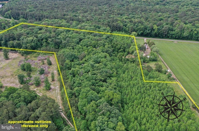 13.17 Acres Colona Rd, Pocomoke City