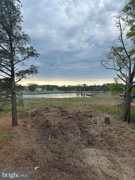 10112 Sweet As Sugar Ln, Berlin