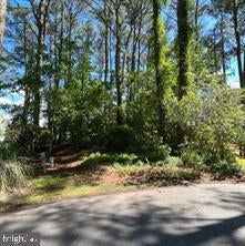 11043 Piney Island Dr, Bishopville