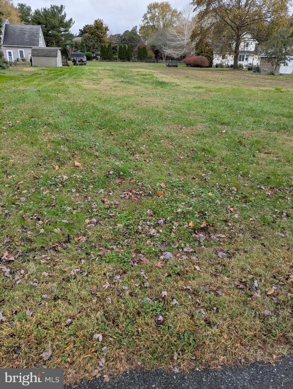 0 Vivian St, Bishopville