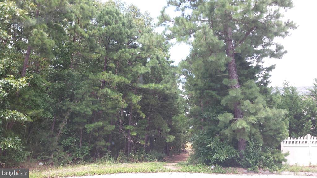 S Holly Ave, ABSECON NJ ABSECON Lots/Land Homes For Sale