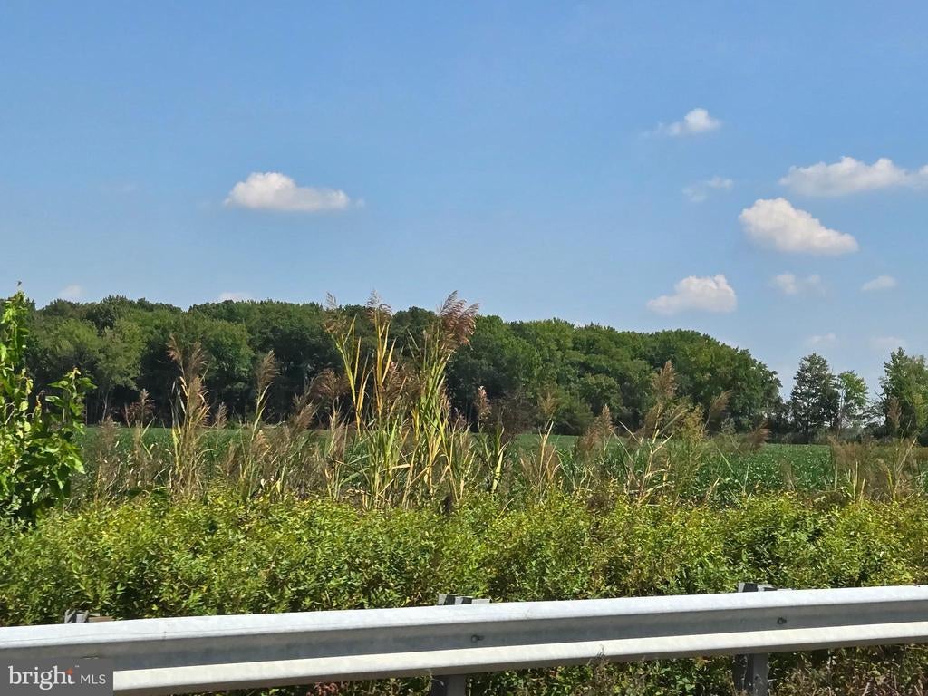 Block 25 Lots 9 & 17 Hawks Bridge, SALEM NJ SALEM Lots/Land Homes For