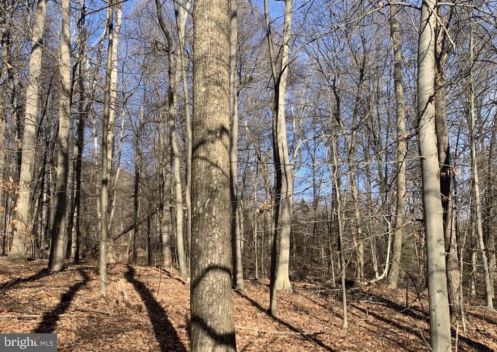 511 Gum Springs Rd, FAIRFIELD PA FAIRFIELD Lots/Land Homes For Sale