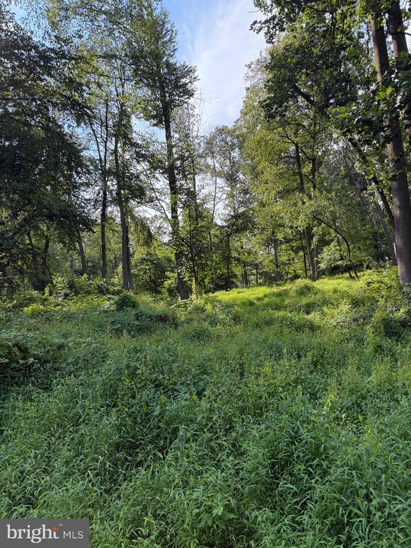 Cushion Peak Rd, Wernersville