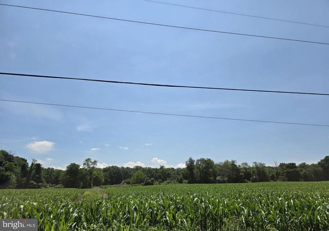 Chestnut, Mertztown
