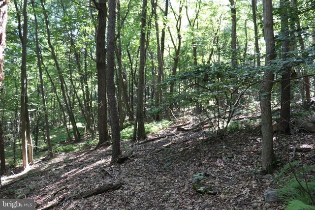 Lot 319 Ridge Run, Claysburg
