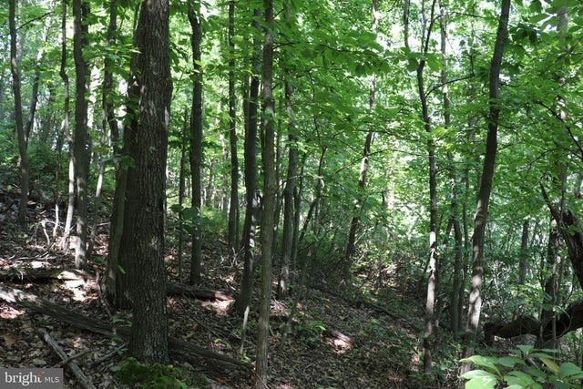 Lot 320 Ridge Run, Claysburg
