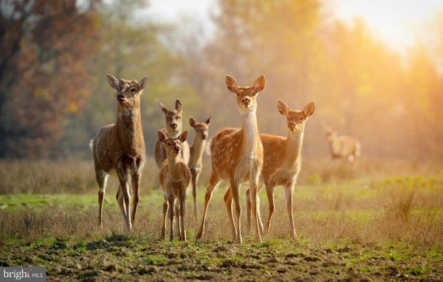 614 Graystones Jeras Rd Lot Hv-3, Albrightsville