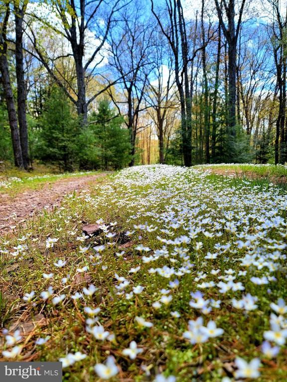 614 Graystones Jeras Rd Lot H-11, Albrightsville