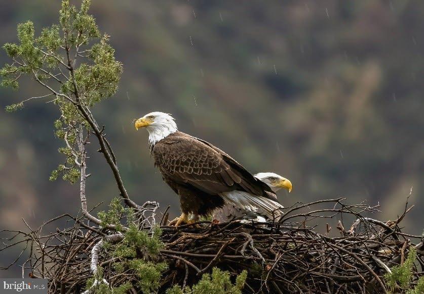 614 Graystones Jeras Rd Lot Hv-5, ALBRIGHTSVILLE