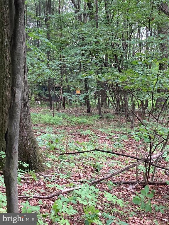 0 Pebble Rd, MORRISDALE PA MORRISDALE Lots/Land Homes For Sale