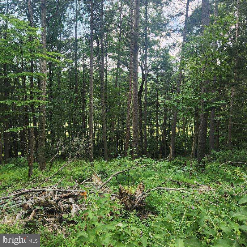 00 Four Springs Rd, HOWARD PA HOWARD Lots/Land Homes For Sale