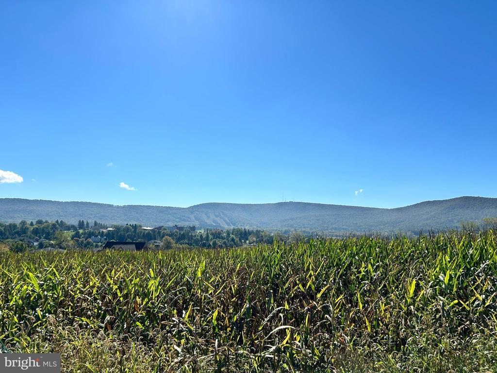 Lot 5 Linden Hall Rd, BOALSBURG PA BOALSBURG Lots/Land Homes For Sale