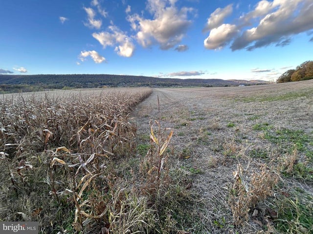 Lot #2 Linden Hall Rd, Boalsburg