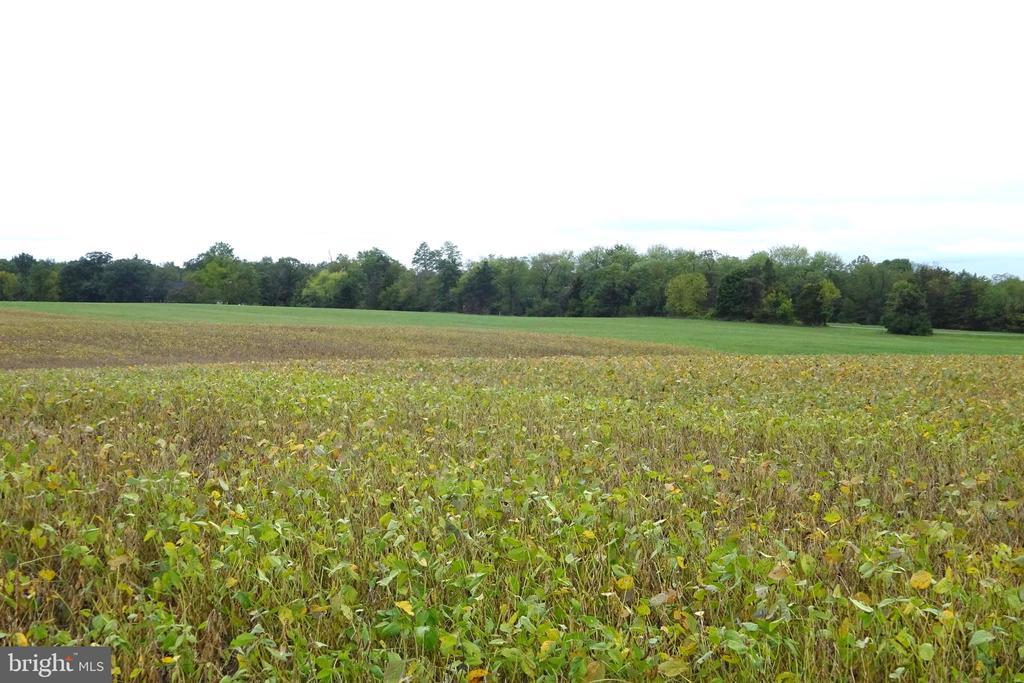 0 Grant Shook Road, GREENCASTLE PA GREENCASTLE Lots/Land Homes For Sale