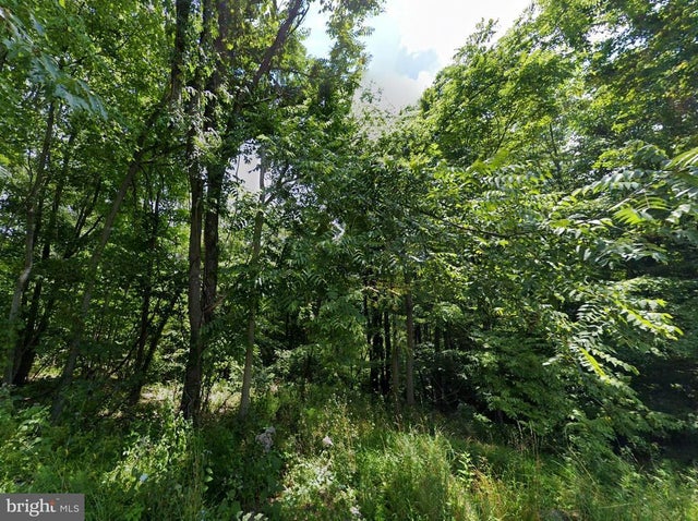 00 Mckees Gap Rd, Warfordsburg