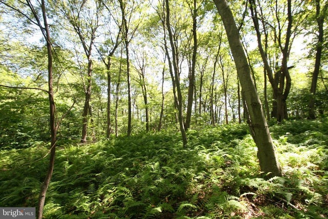 000 Leidig, Three Springs