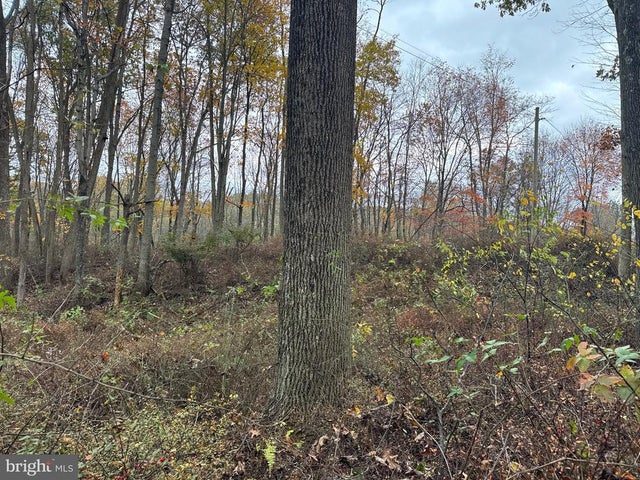 Tract 4: 13.5+/- Acres Coles Valley Rd, Robertsdale