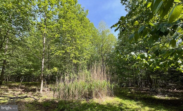 7893 Leaser Rd, Kempton