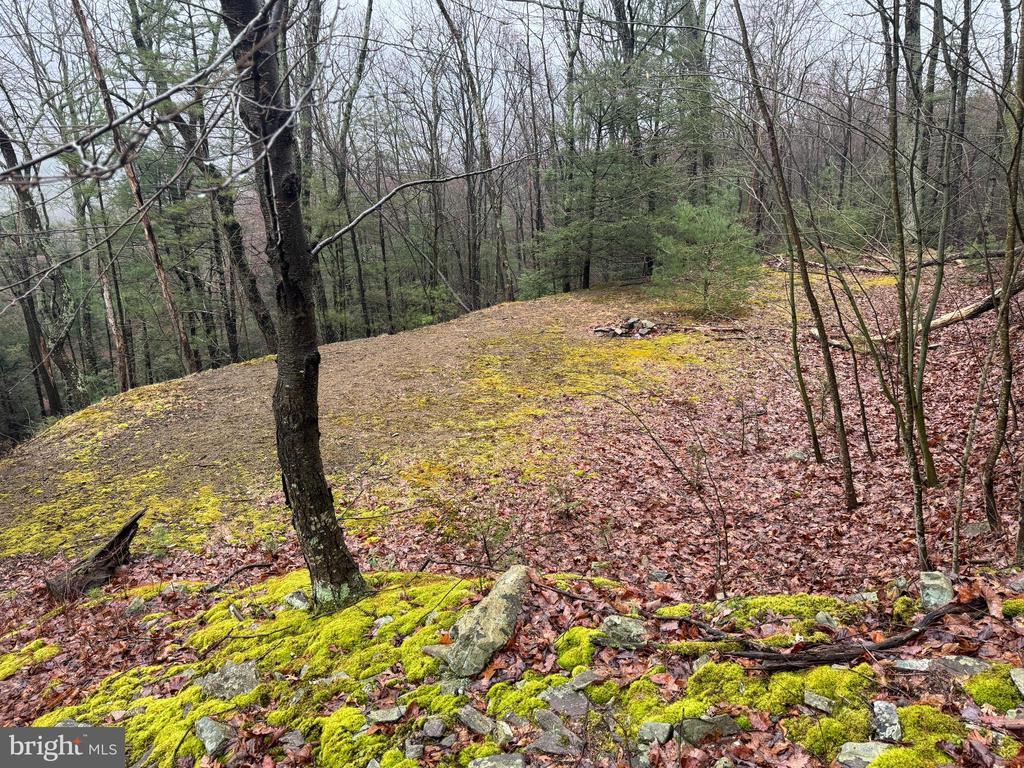 0 Reeds Gap Rd, MILROY PA MILROY Lots/Land Homes For Sale
