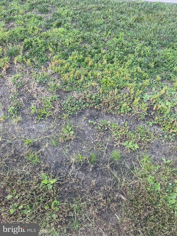 6036 N Beechwood St, Philadelphia