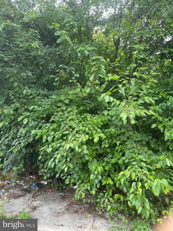 459 E Price St, Philadelphia