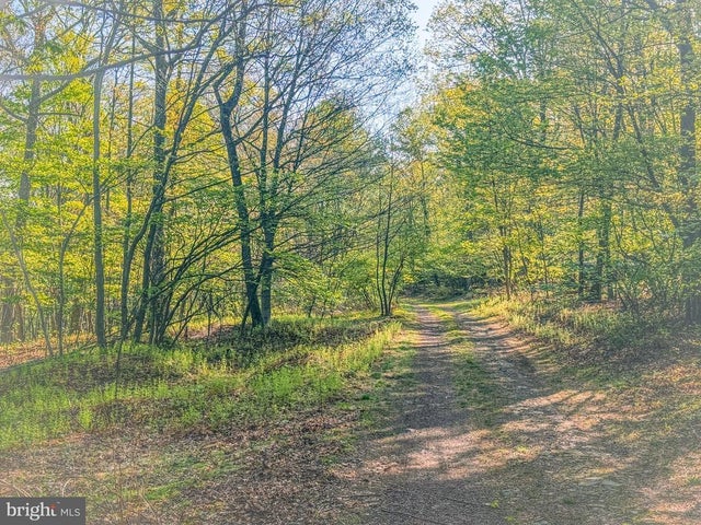 0 Cornman Ln, Landisburg