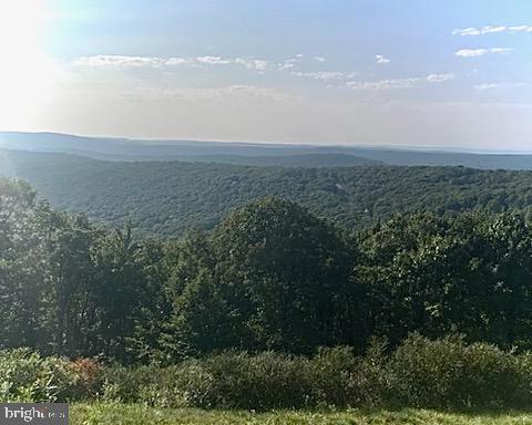 51 Mohican Ct, Hazleton