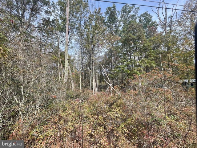 580 Chamonix, Zion Grove