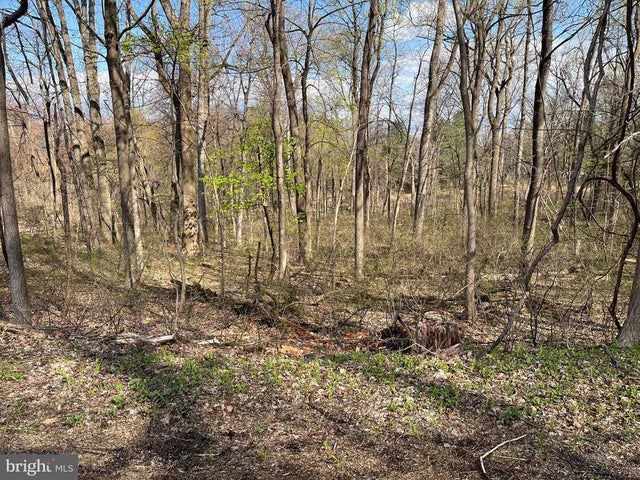 Meadow Trl #lot 1, Dillsburg