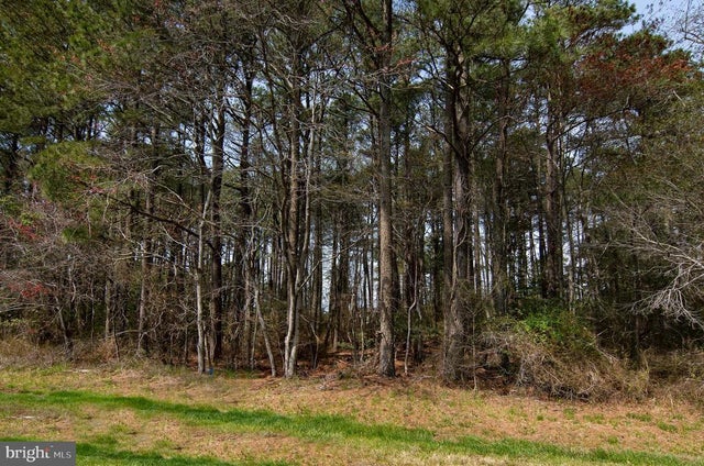 Lot 862 Broadside Drive, Greenbackville