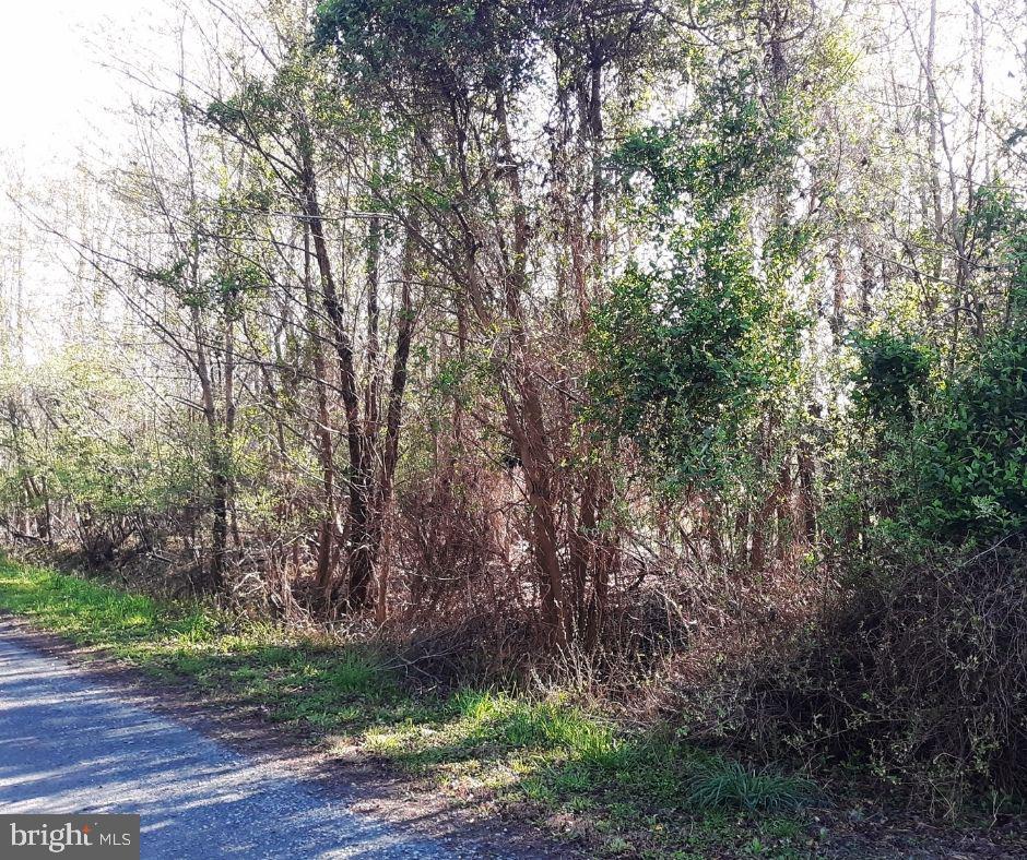 0 Ibis Ct, VA Lots/Land Homes For Sale