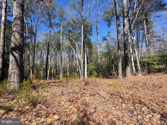 0 Mutiny, Greenbackville