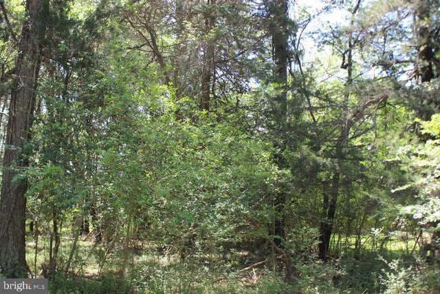 1093 Amidship Dr, Greenbackville