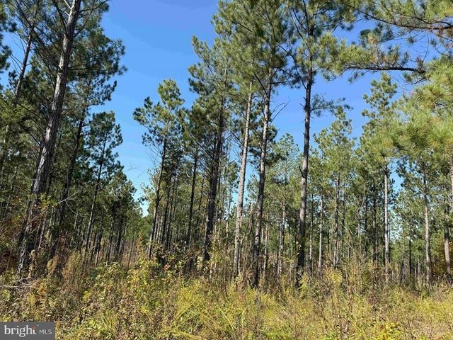 Woodfork Road (rt. 650) (tract Rogers-4), Charlotte Court House
