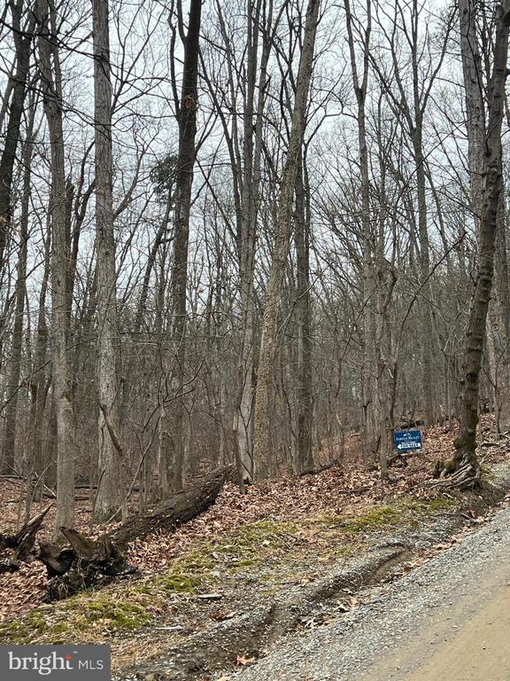 Beechwood Ln, Bluemont