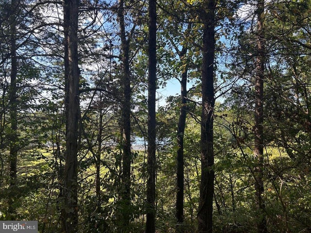 Parcel 14 Kipps Ln, Elkwood